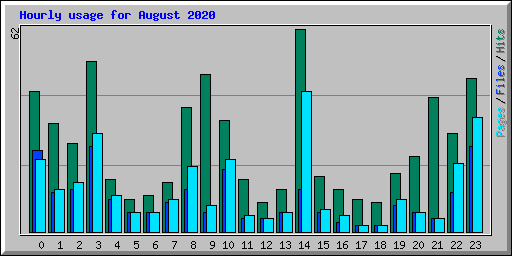 Hourly usage for August 2020