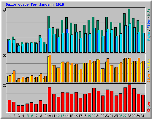 Daily usage for January 2019