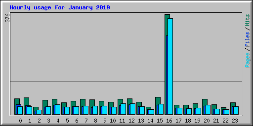 Hourly usage for January 2019